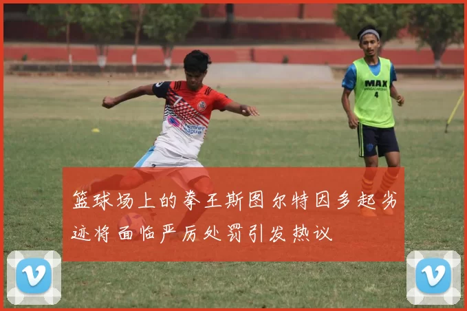 篮球场上的拳王斯图尔特因多起劣迹将面临严厉处罚引发热议